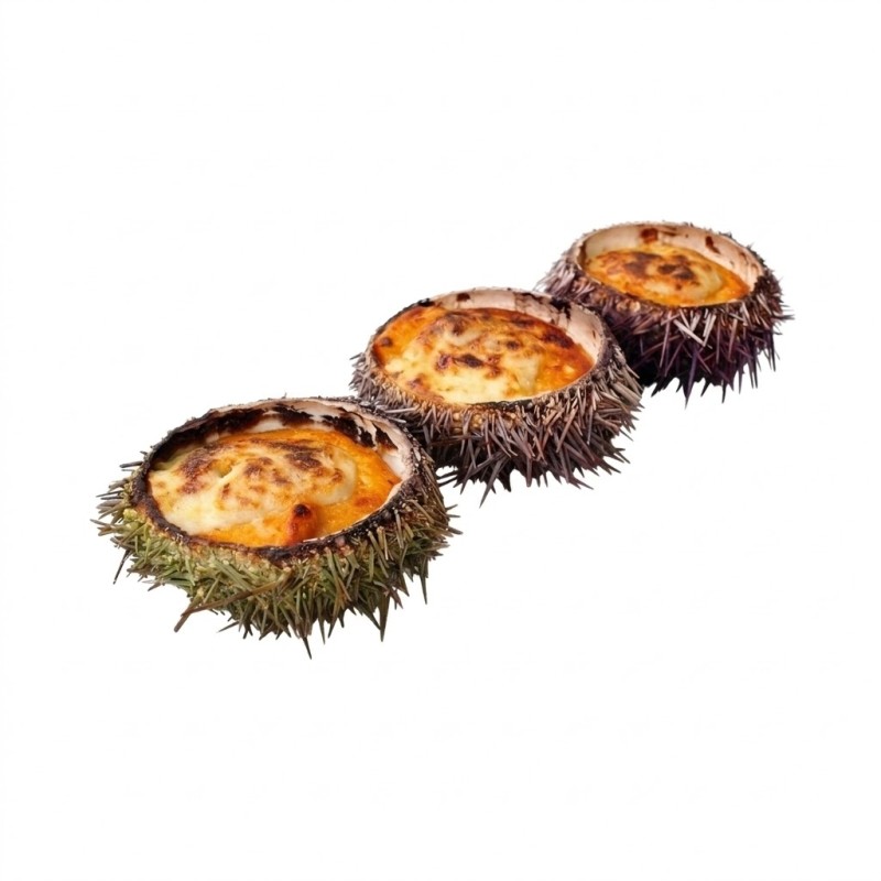 Erizo Relleno
