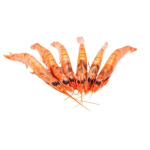 Gamba Cocida Extra