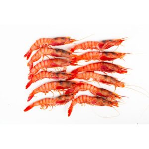Gamba Roja G
