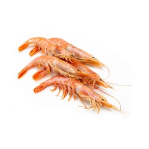 Gambón 20/30