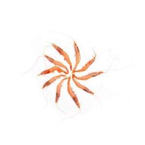 Gamba Mediana