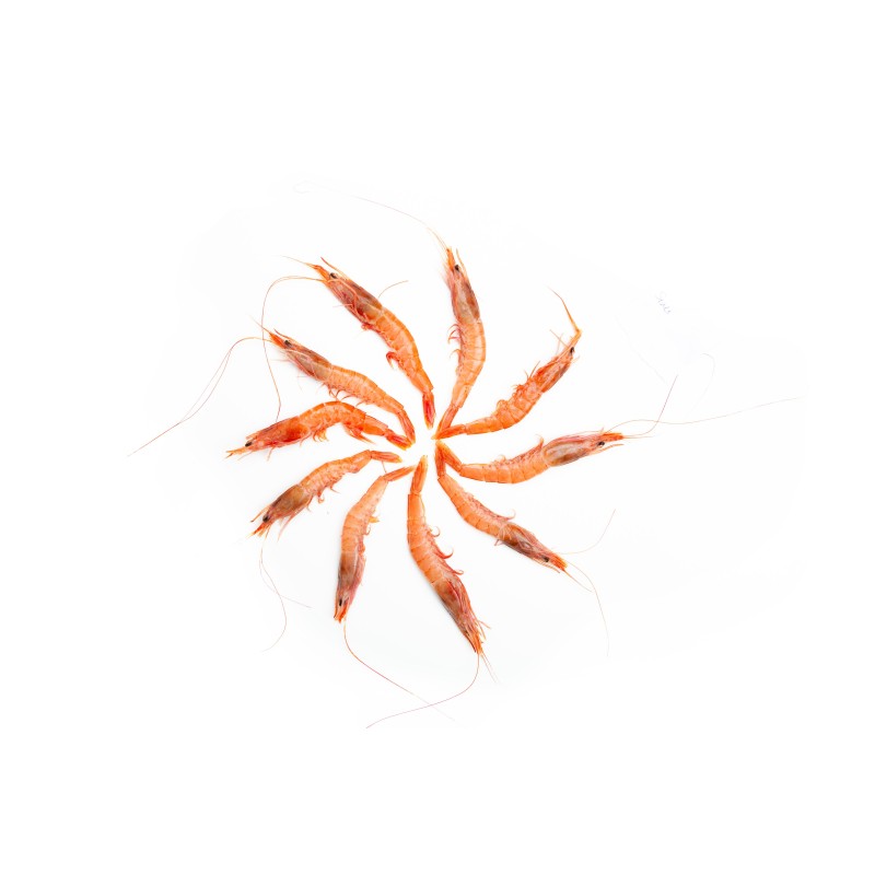 Gamba Mediana