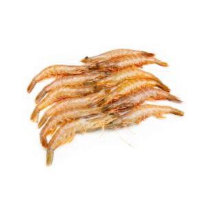 Langostino Crudo